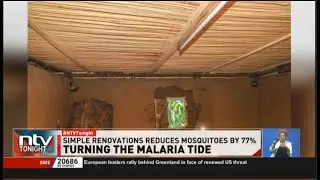 KEMRI: Low-cost housing modifications can cut malaria mosquito populations by 77% in endemic regions