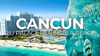 RIU Palace Peninsula: EXCELLENT Snorkeling!