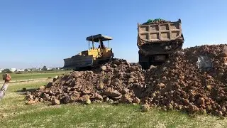 wow super The laborious work of clearing a large field dump truck 5 ton in 25ton of bulldozer