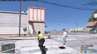 [LIVE] verkeerspolitie teamverkeer 0601 op shadys test server