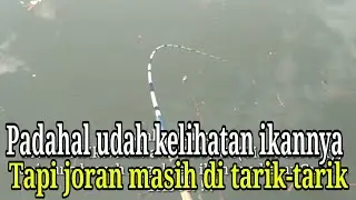 Micro Fishing / Joran Micro di siksa anakan ikan laut sampai melengkung tidak karuan