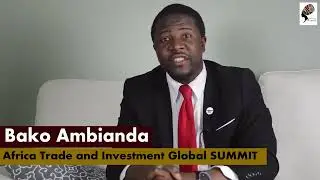Transform Africa and Rebrand Africa by Bako Ambianda