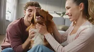 Porque Elegir a Talancon Insurance Agency en The Woodlands Texas