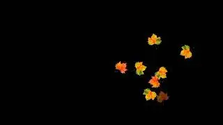 Runding flower Black screen background | video HD | Runding Flower effect Background | 2021