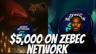 Прибыль Zebec Network в размере 5000 долларов США на возможном медвежьем рынке ZBCN