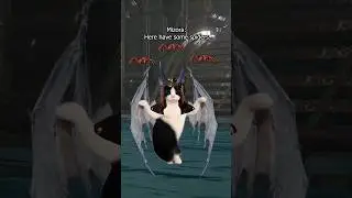 NO KEeP YOuR SPiDers 😫🕷 #mizora #baldursgate3 #bg3 #baldursgate #catmemes #cat #dnd #gamergirl