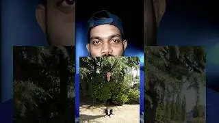 Invisibility Cloak &ndash; अब इंसान हो जाएगा गायब! | Future Invisible Technology in Hindi 😲
