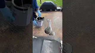 Top Coat Part 1, Paint It Black, #trailer #restore #painting