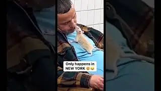 Friendship With Animals 😱😱 #aiclips #automobile #aishorts #viralclips #memes #shortsfeed #ai