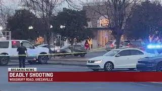 3 shot, 1 dead at Greenville shopping center