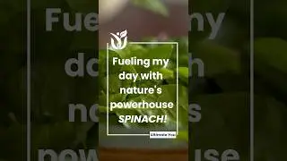 Spinach Health Benefits #youtube #trendingshorts #trendingvideo #youtubeshort #healthyfood #winter