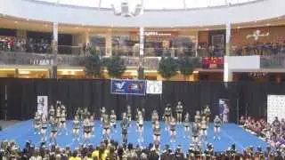 Alberta Cheer Empire ACE Sr 5R Legacy at ACA Total Spirit Championships WEM 2014
