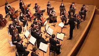 R.シュトラウス/メタモルフォーゼン～23の独奏弦楽器のための習作　　R. Strauss:/Metamorphosen For 23 Solo Strings