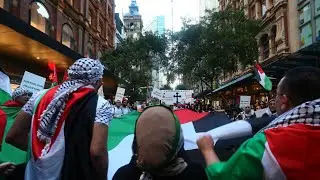&lsquo;Elitists&rsquo; controlling the pro-Palestine narrative