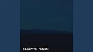 In Love With The Night