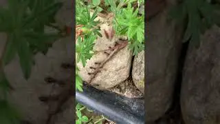 Teamwork!