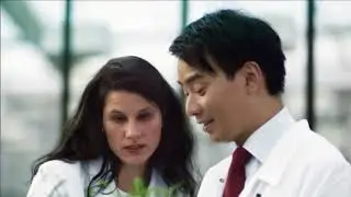 More than a Job  With a career at BASF you can Create Chemistry for the Future of the World   YouTub