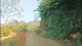 Travel for nagaland #north #travel #assam #nature #blogger #love #india 