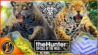 This Map is INCREDIBLE... and DANGEROUS! | Peru Early Access in theHunter Call of the Wild