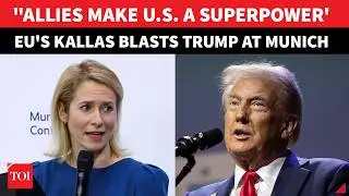 'Russia Fights Alone, America Doesn't': EU's Kallas Drops Truth Bombs On Trump Envoy Walz At Munich