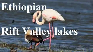 Ethiopian Rift Valley lakes Part 43