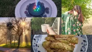 Its A Beautiful Day | Solar Bird Bath Set Up |Living In The UK | UK Vlogs