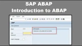 Beginner ABAP Tutorial - 1 - Introduction to ABAP