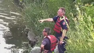 Man falls off canoe, dies after being pulled from Chicago River