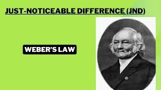 35 #Weber's_Law #Just_noticeable_difference(JND) #perception