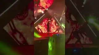 EDC 2021 entertainers
