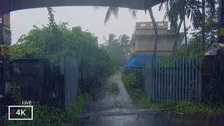 Rainy day in a green lush village in India | Rain sounds for sleeping | Our Rain Walks Compilation
