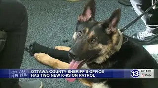Two new deputies on patrol in Ottawa County and they work for treats, toys and belly rubs