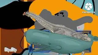 Sprem whale 