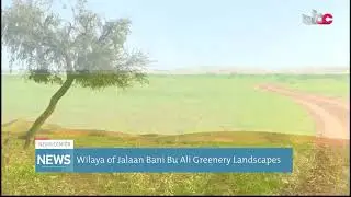 Wilaya of Jalaan Bani Bu Ali Greenery Landscapes