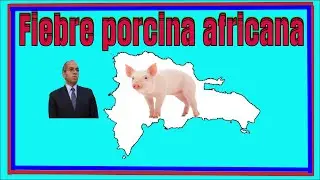 Versos sobre La fiebre Porcina Africana en la Rep&uacute;blica Dominicana.