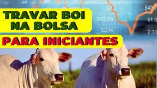 Aprenda a TRAVAR BOI na bolsa de valores para INICIANTES #pecuária