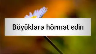 #480 Böyüklərə hörmət edin ¦¦ Ramil Soltanov