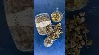 Premium Certified Chamomile Tea &ndash; Organic Tea | Herbal Tea | Tisane | Parsa Global Saffron & Tea