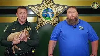 Abandoned Puppies Rescued