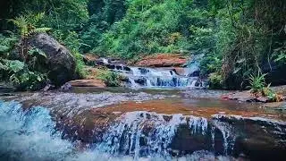 Mountain River Waterfall Flowing | Water Sounds, Nature White Noise, River Sounds for Sleeping
