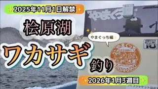 【ワカサギ釣り】1月3週目の桧原湖ワカサギ釣り #ワカサギ釣り #桧原湖 #釣り 
