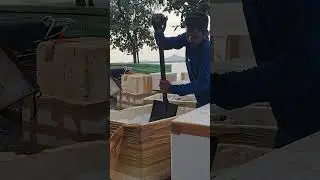 వైర చెరువులో చేపల వేట......🐟