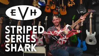 Review | EVH STRIPED SERIES SHARK, BURGUNDY WITH SILVER STRIPES | Eunice Music Store