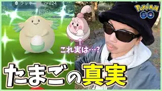 【ポケモンGO】幸せを運びます！ラッキーのコミュデイでたまごポケモンを解明せよ！色違えピンプク１４連チャレンジスペシャル！【ワイルドボルト】