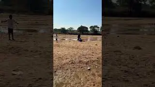 Picnic cricket #shorts #shortvideo #youtubeshorts #viralshorts #picnic #cricket