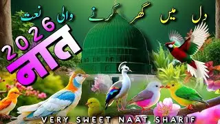 स्पेशल नात शरीफ 2026 / रहते हैं मेरे दिल में अरमान मदीने के / Naat Sharif /Abdul Fatah Naat Offecial