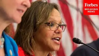 &lsquo;This Legislative Body Needs to Take More Action&rsquo;: Robin Kelly Decries Gun Violence
