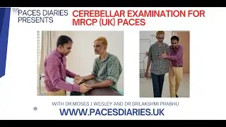ДНЕВНИКИ PACES ПРЕДСТАВЛЯЮТ: ОБСЛЕДОВАНИЕ МОЗЖЕЧКОВОЙ СИСТЕМЫ