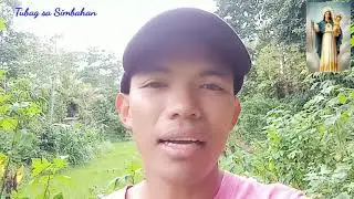 Simbahon (veneration) si Santa Maria (Hyperdulia)
