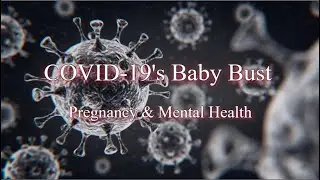 COVID-19&rsquo;s Baby Bust &ndash; Pregnancy & Mental Health